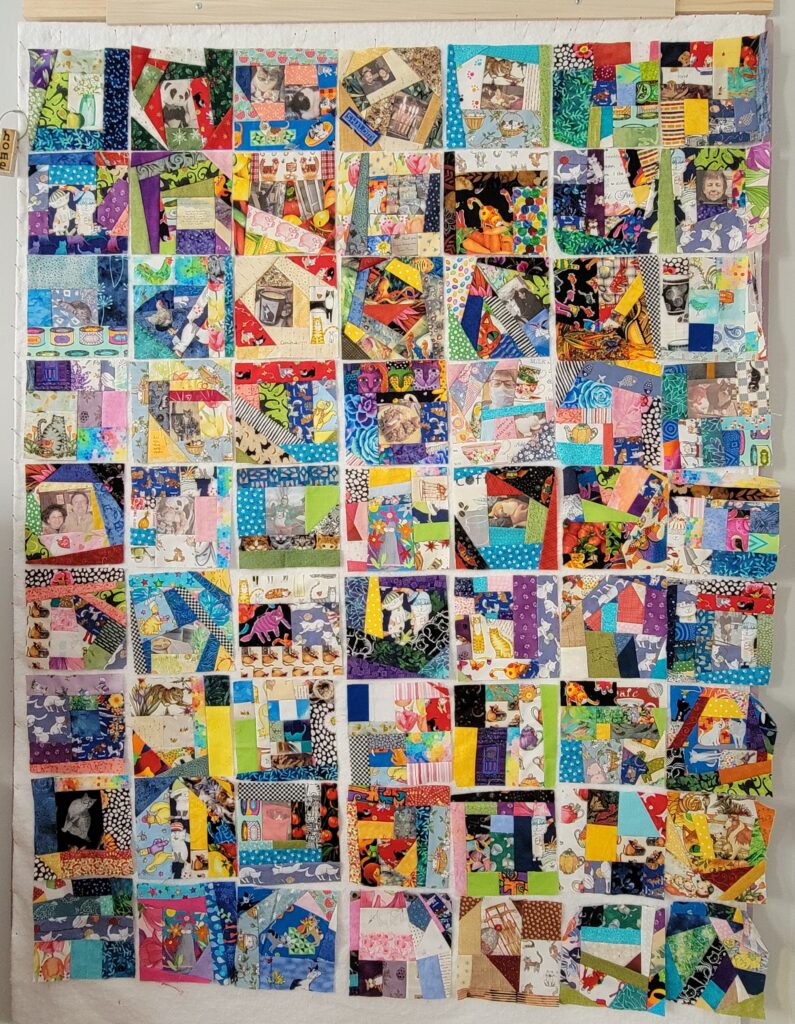 Cat's Crazy Year Quilt